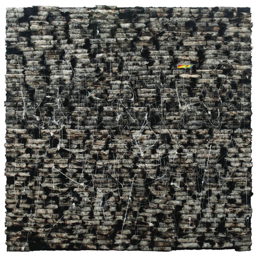 a moment of the light