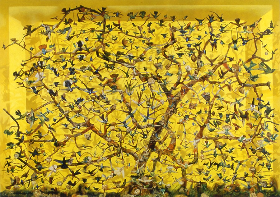 The Hummingbird Tree