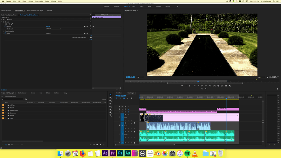 Jacqui Screenshot of Sequence.png