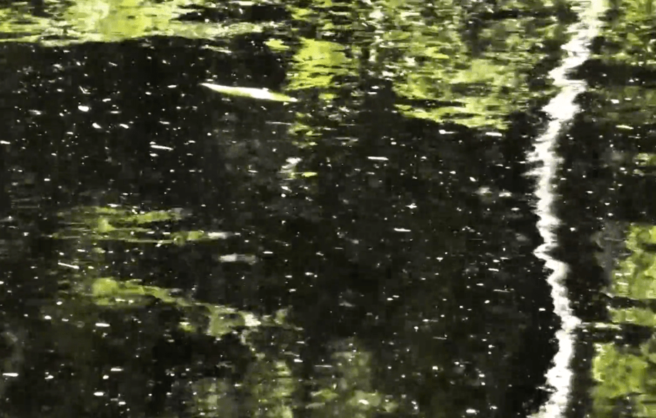 Screen Shot 2019-08-18 at 14.37.47